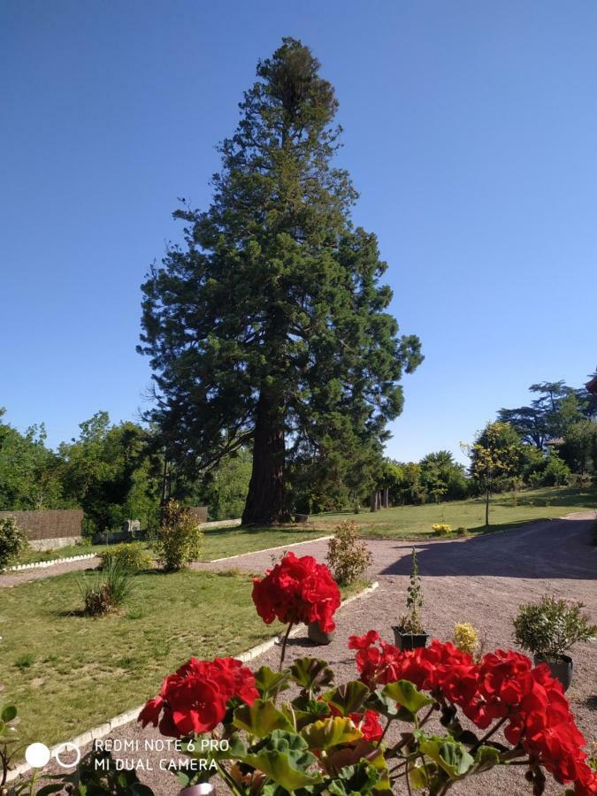 Le Manoir Sequoia Hotell Airvault Exteriör bild